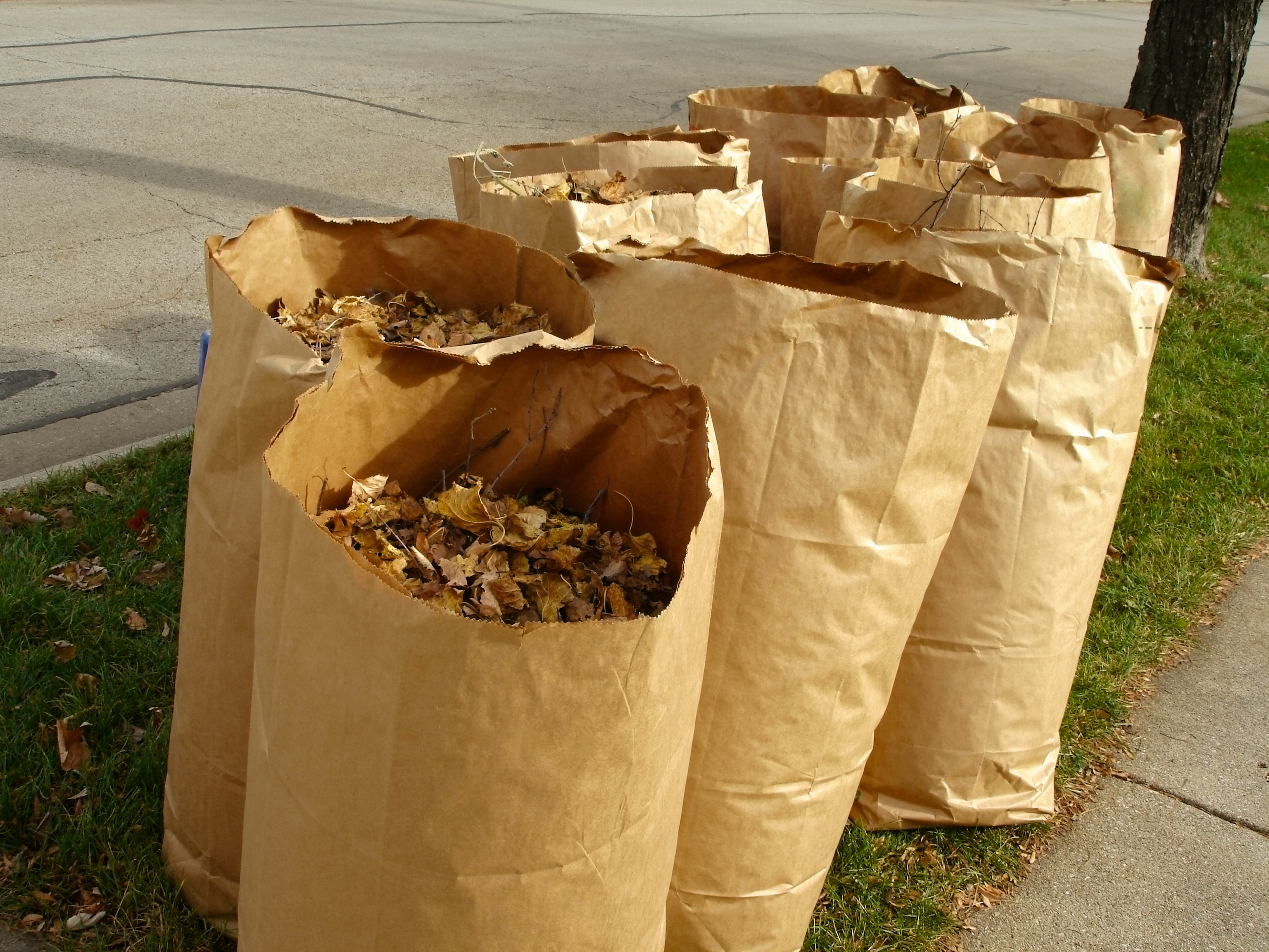 Cueillette de feuilles mortes et sacs : Petit rappel Cueillette de feuilles mortes et sacs : Petit rappel