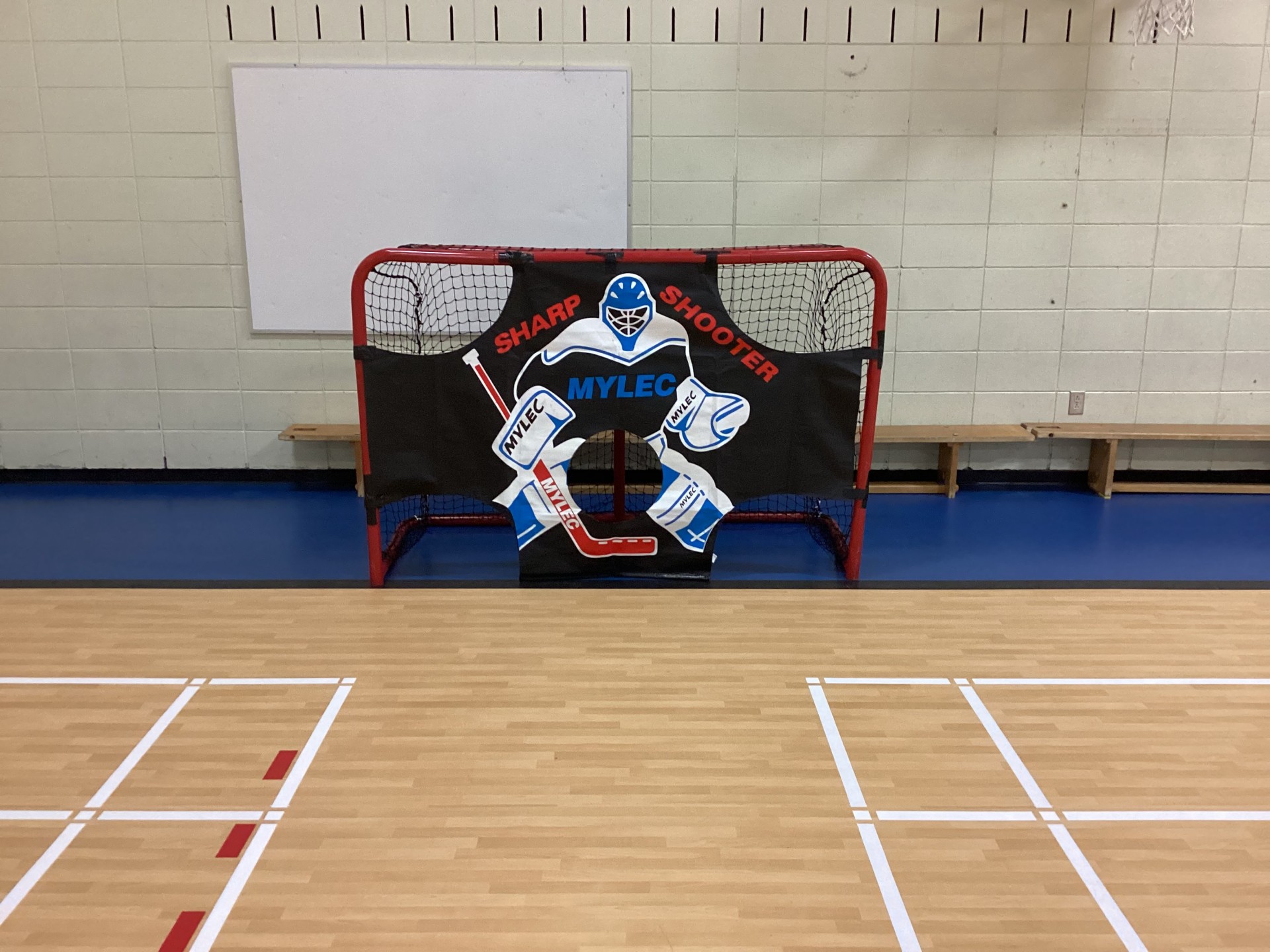 Le Défi hockey fait briller les élèves de l'école du Bac Le Défi hockey fait briller les élèves de l'école du Bac