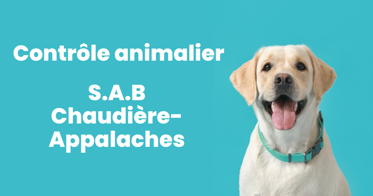 S.A.B. Chaudière-Appalaches assurera l'application de la règlementation relative au contrôle animalier jusqu'au 31 décembre 2024