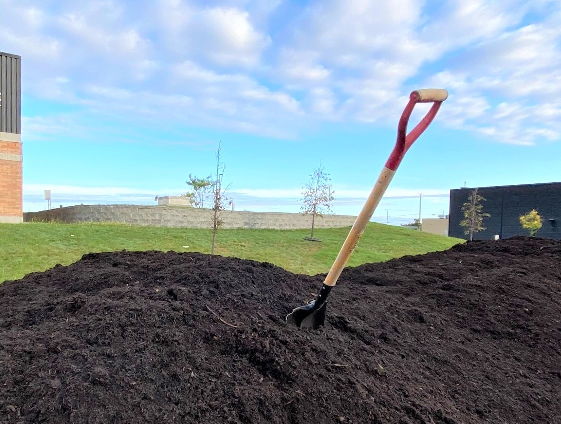 La prochaine distribution de compost et de plants d’arbres aura lieu le jeudi 2 juin