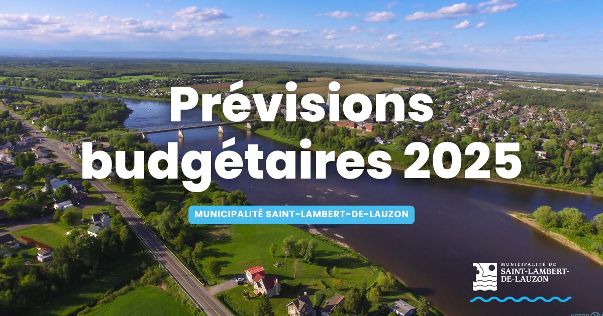 Prévisions budgétaires 2025