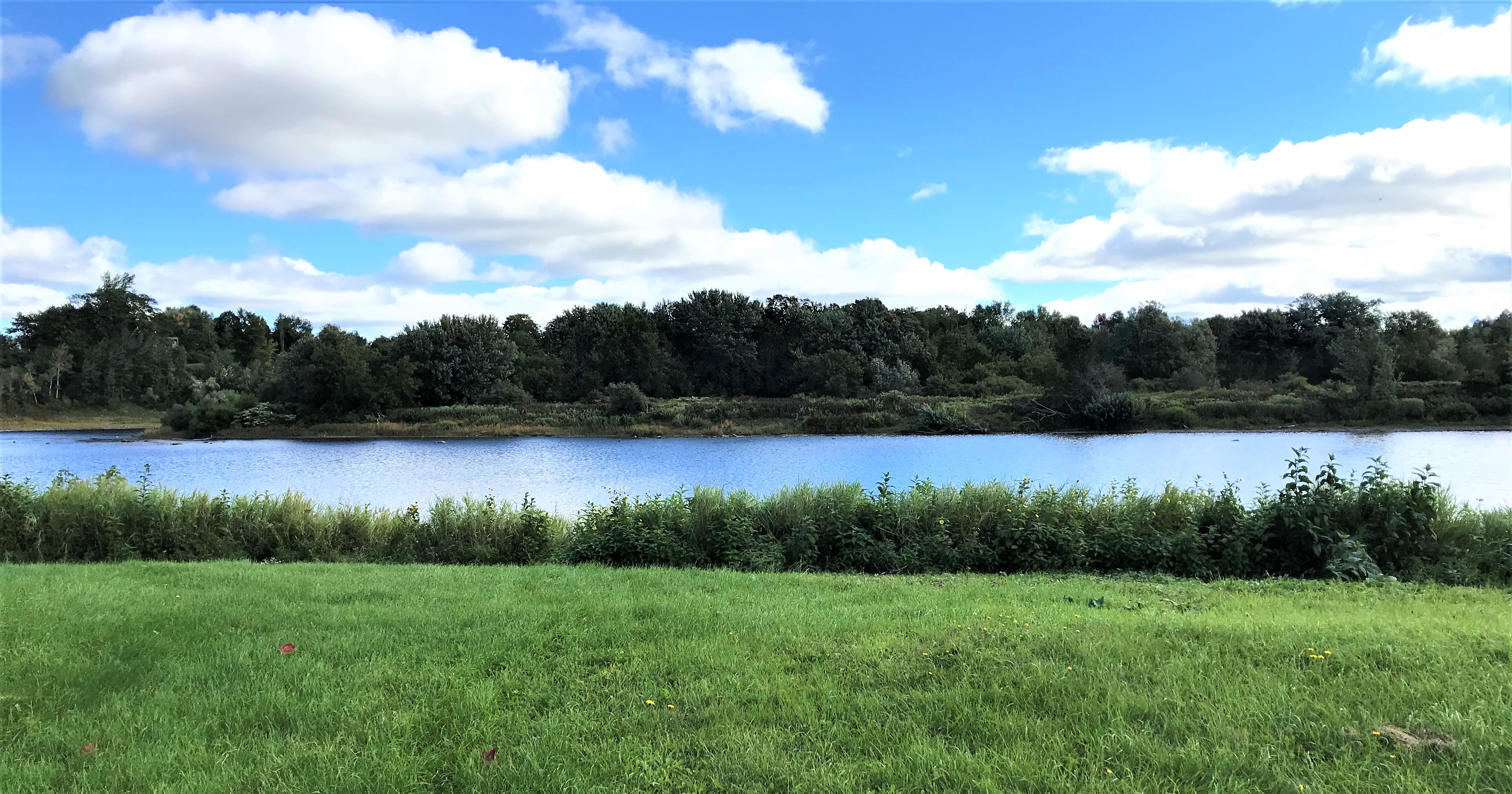 Vers un accès direct à la rivière Chaudière