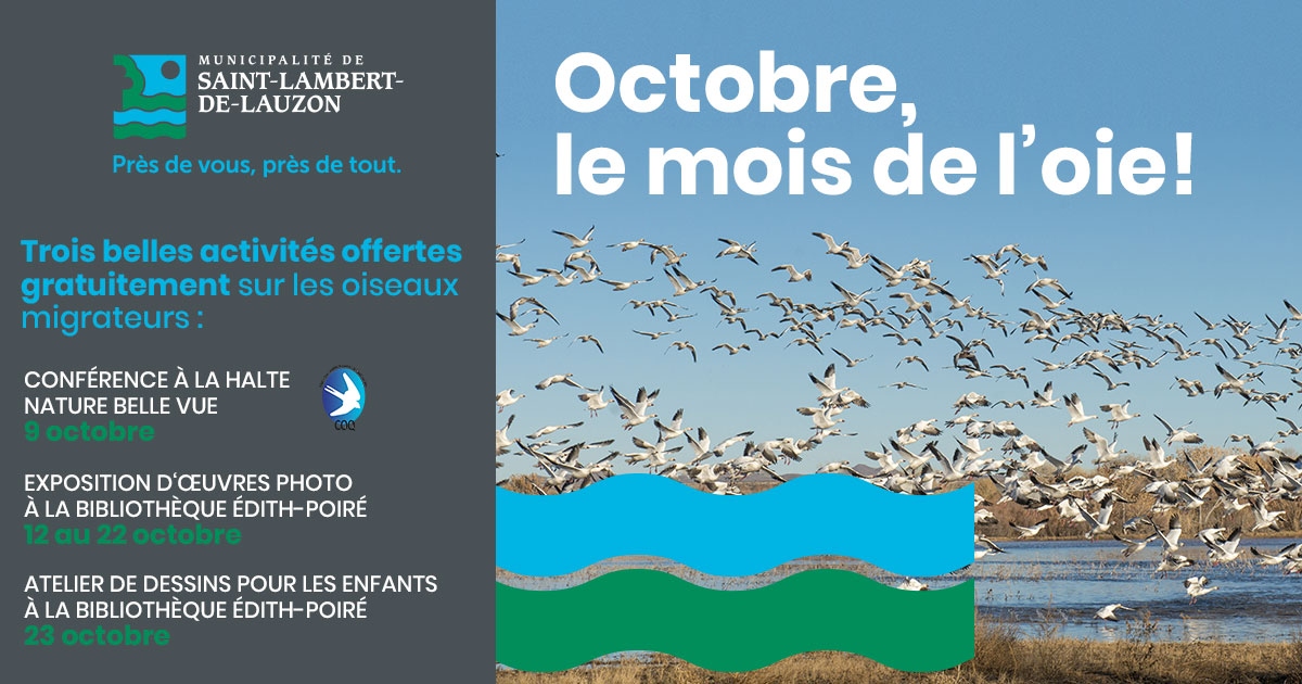 L’événement « Octobre, le mois de l’oie » prend son envol