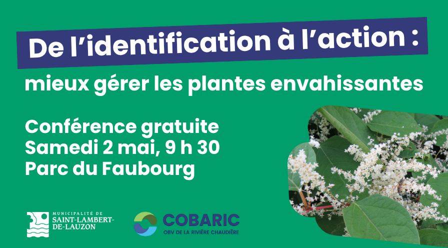 Conférence gratuite - De l'identification à l'action : mieux gérer les plantes envahissantes