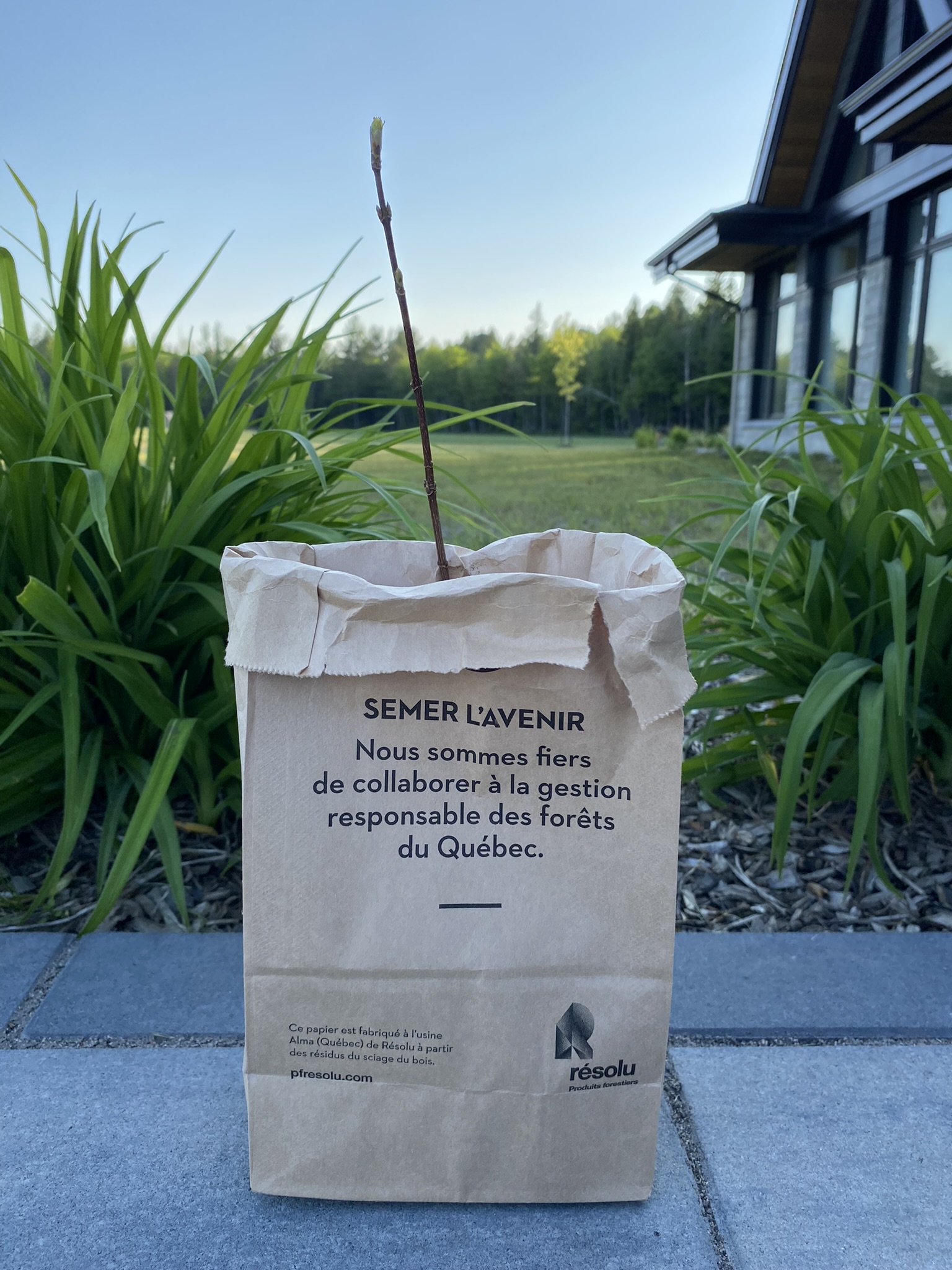 Réservez votre plant d'arbre dès le 9 mai!