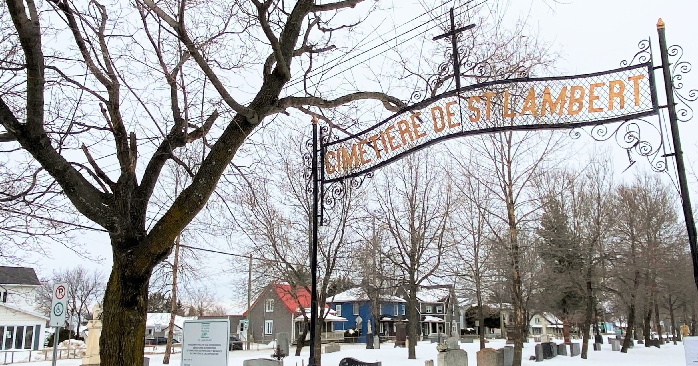 Cimetière : 39 frênes devront être abattus