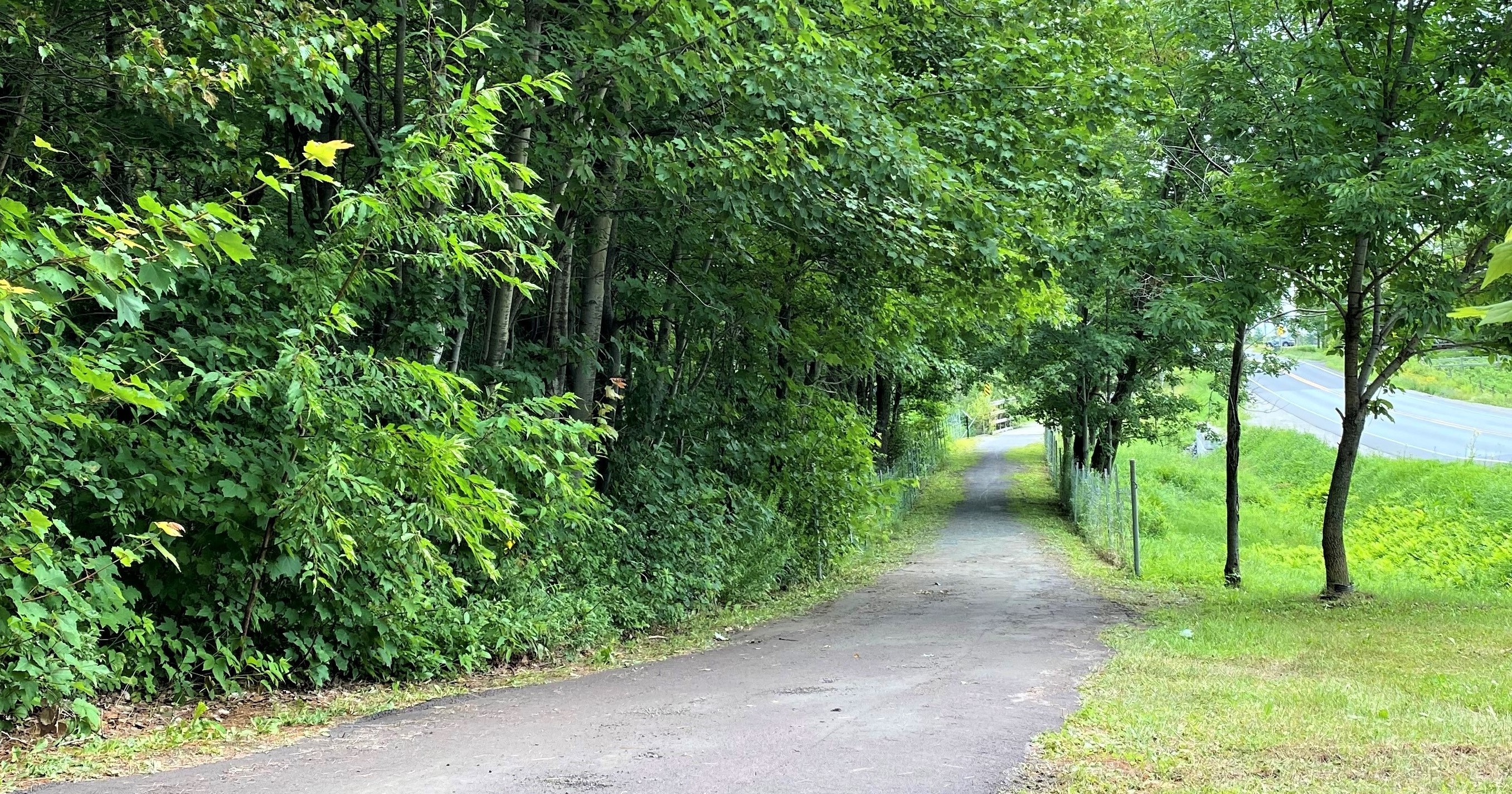 La piste cyclable de la rue du Pont sera prolongée